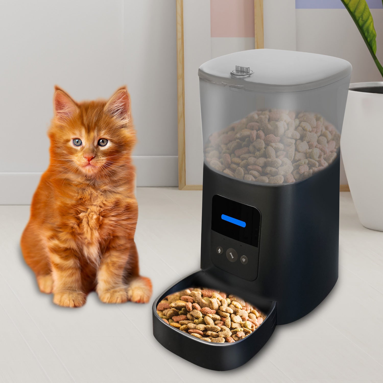 Cat sitting beside the pet feeder